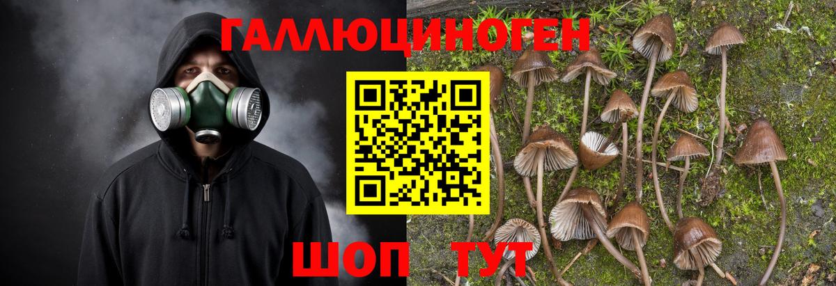 Псилоцибиновые грибы Magic Shrooms Миасс